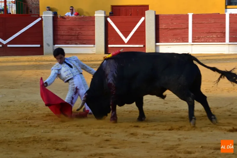 Foto 11 - Diosleguarde a hombros en una desigual corrida en Pe&ntilde;aranda con buena entrada