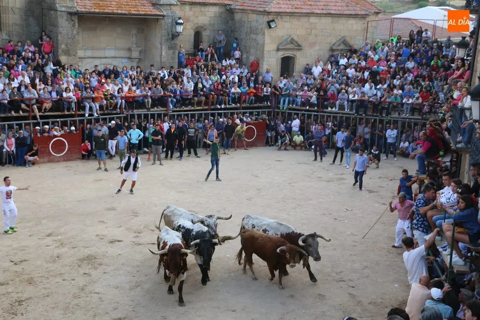 Foto 8 - Emocionante y bello encierro de Valdeflores en Aldead&aacute;vila  
