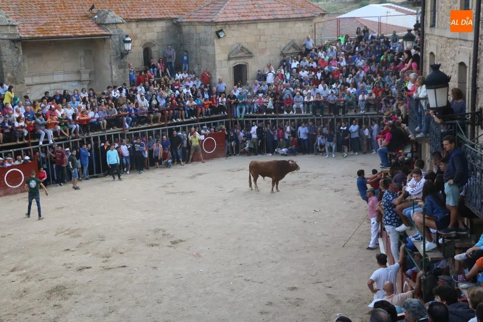 Foto 7 - Emocionante y bello encierro de Valdeflores en Aldead&aacute;vila  