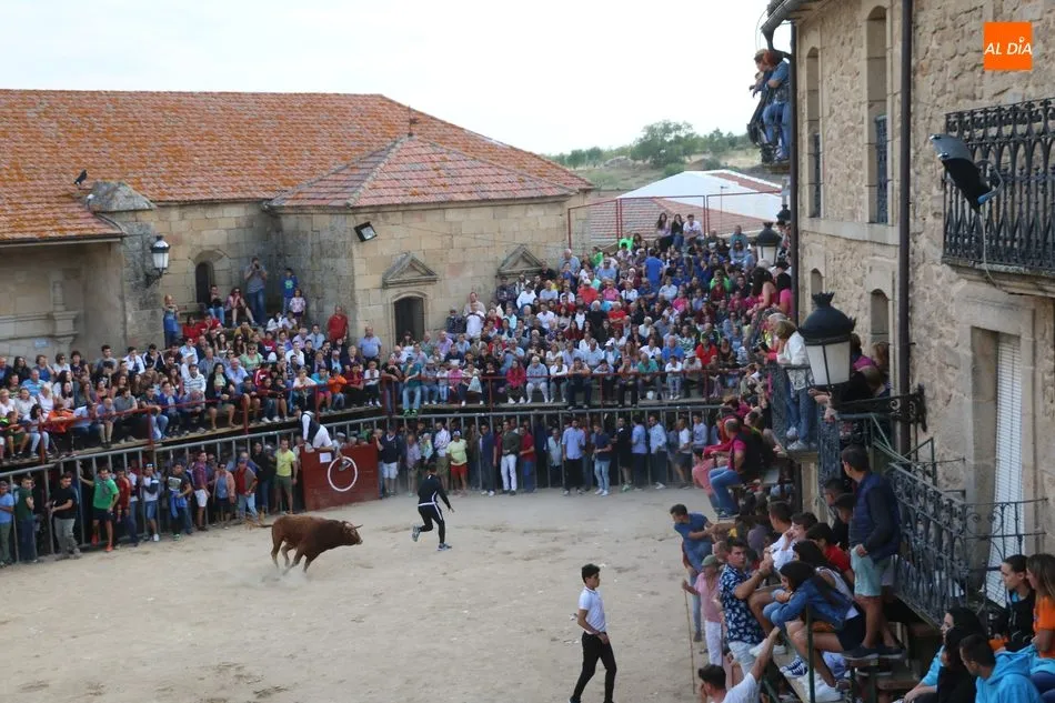 Foto 6 - Emocionante y bello encierro de Valdeflores en Aldead&aacute;vila  