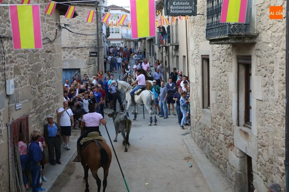 Foto 5 - Emocionante y bello encierro de Valdeflores en Aldead&aacute;vila  