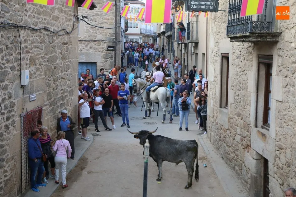 Foto 4 - Emocionante y bello encierro de Valdeflores en Aldead&aacute;vila  