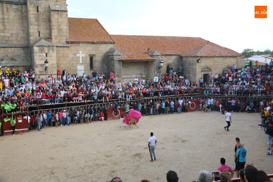 Emocionante y bello encierro de Valdeflores en Aldeadávila  