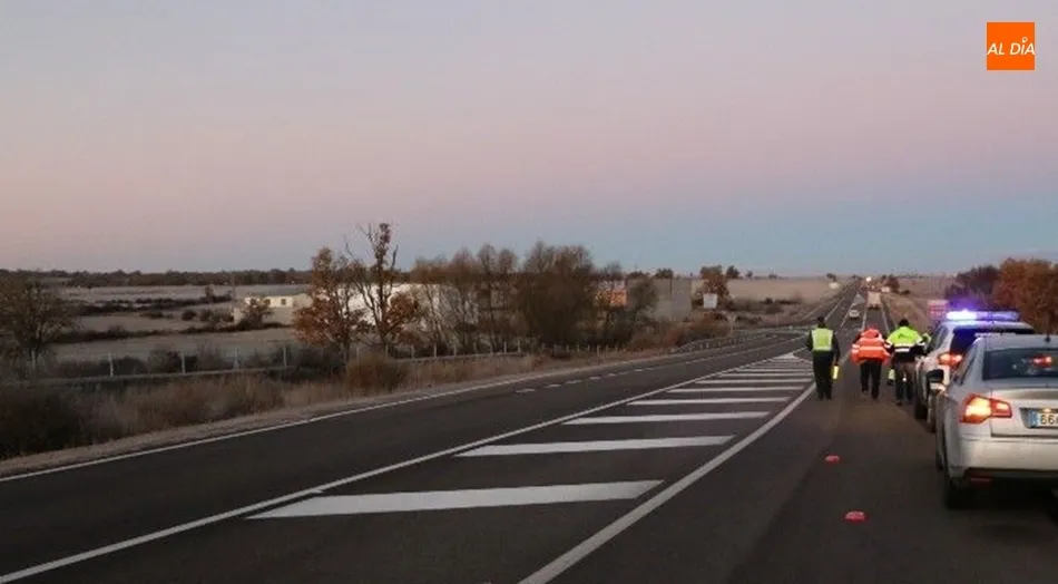 Imagen de archivo de un accidente con animales implicados en las carreteras de Salamanca.