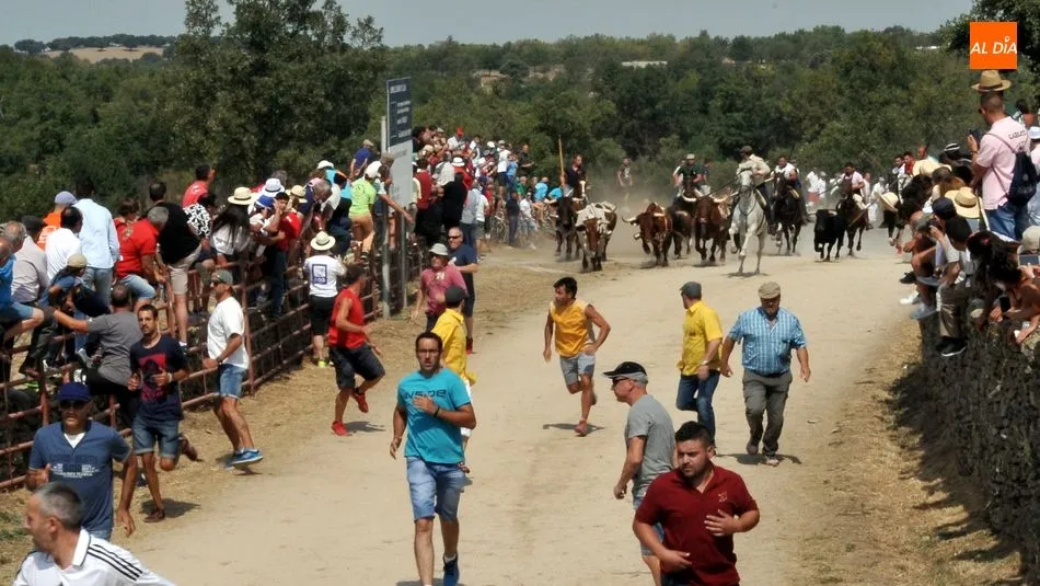 Gran expectación en el segundo encierro a caballo de las Fiestas de Lumbrales