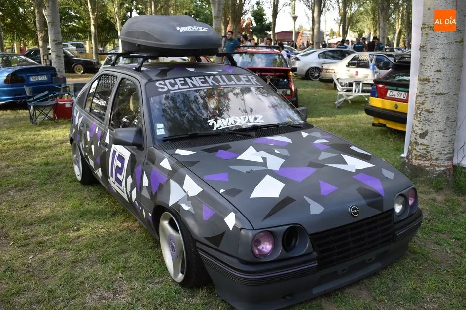 Foto 9 - Gran concentraci&oacute;n de coches en el Camping Municipal de Alba de Tormes