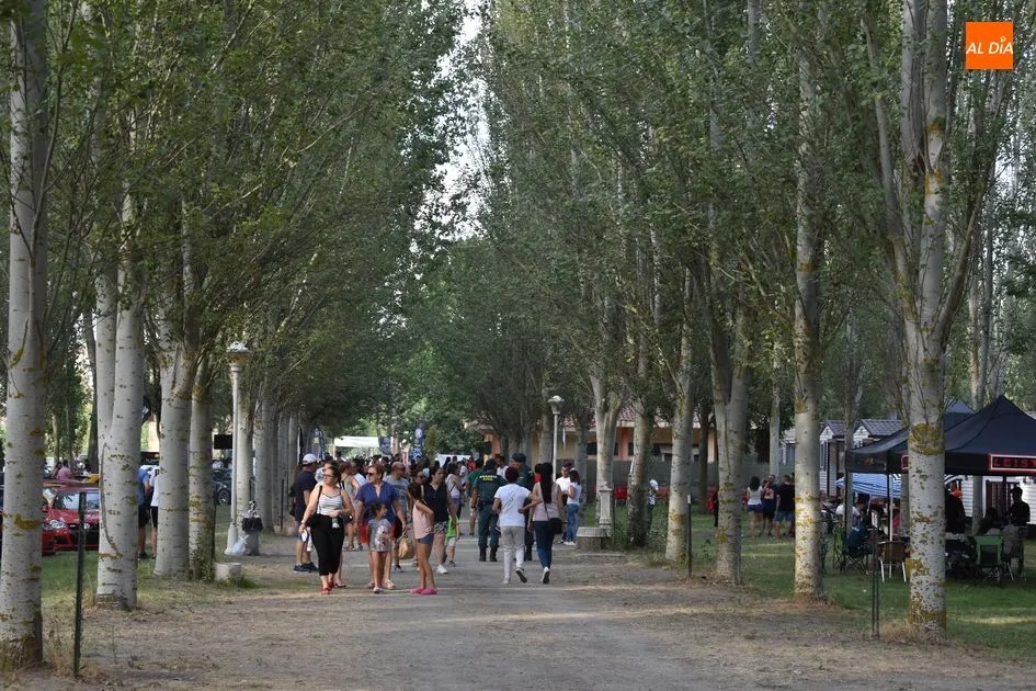 Foto 6 - Gran concentraci&oacute;n de coches en el Camping Municipal de Alba de Tormes