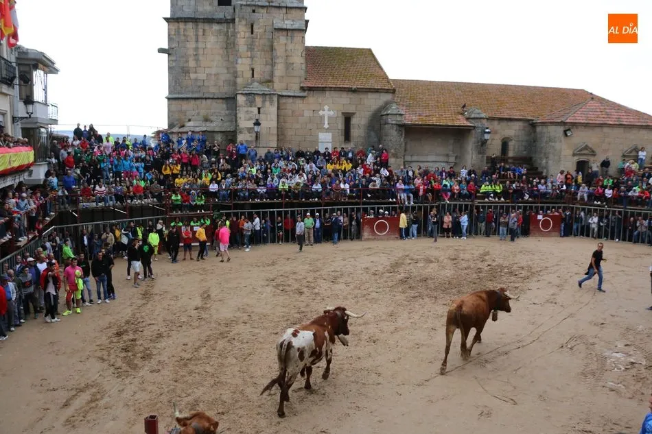 Foto 10 - Encierro r&aacute;pido y &lsquo;chorreado&rsquo; de Ignacio L&oacute;pez Chaves en Aldead&aacute;vila  