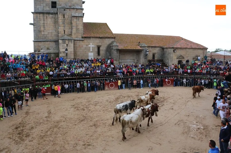 Foto 9 - Encierro r&aacute;pido y &lsquo;chorreado&rsquo; de Ignacio L&oacute;pez Chaves en Aldead&aacute;vila  