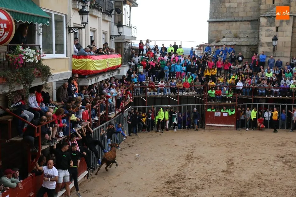 Foto 8 - Encierro r&aacute;pido y &lsquo;chorreado&rsquo; de Ignacio L&oacute;pez Chaves en Aldead&aacute;vila  