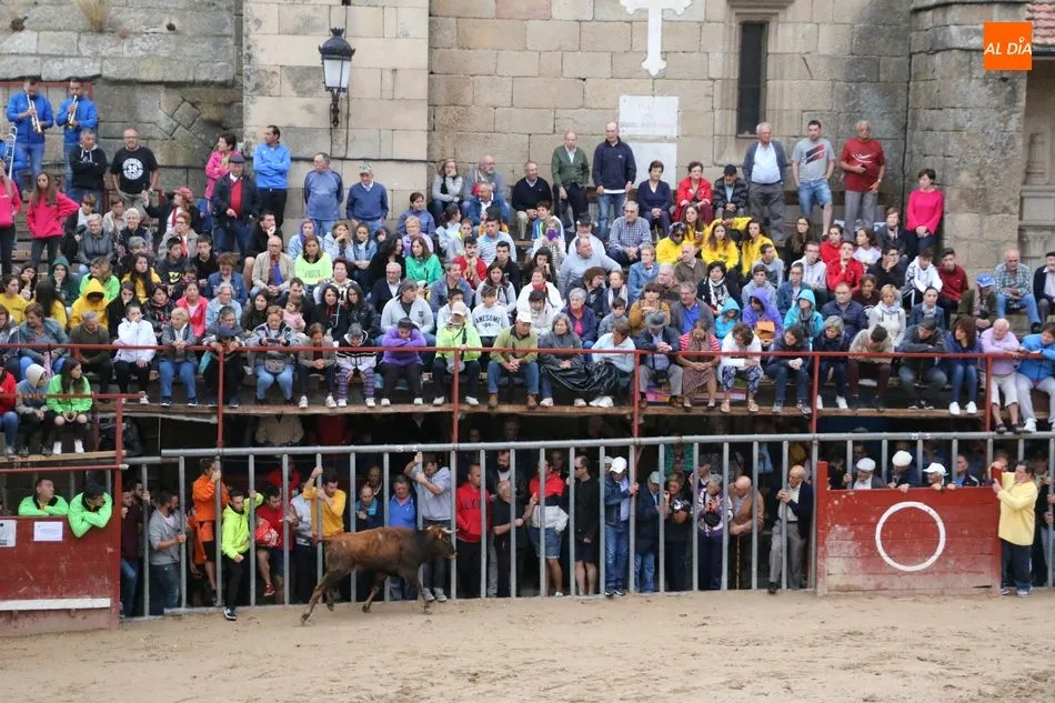 Foto 7 - Encierro r&aacute;pido y &lsquo;chorreado&rsquo; de Ignacio L&oacute;pez Chaves en Aldead&aacute;vila  