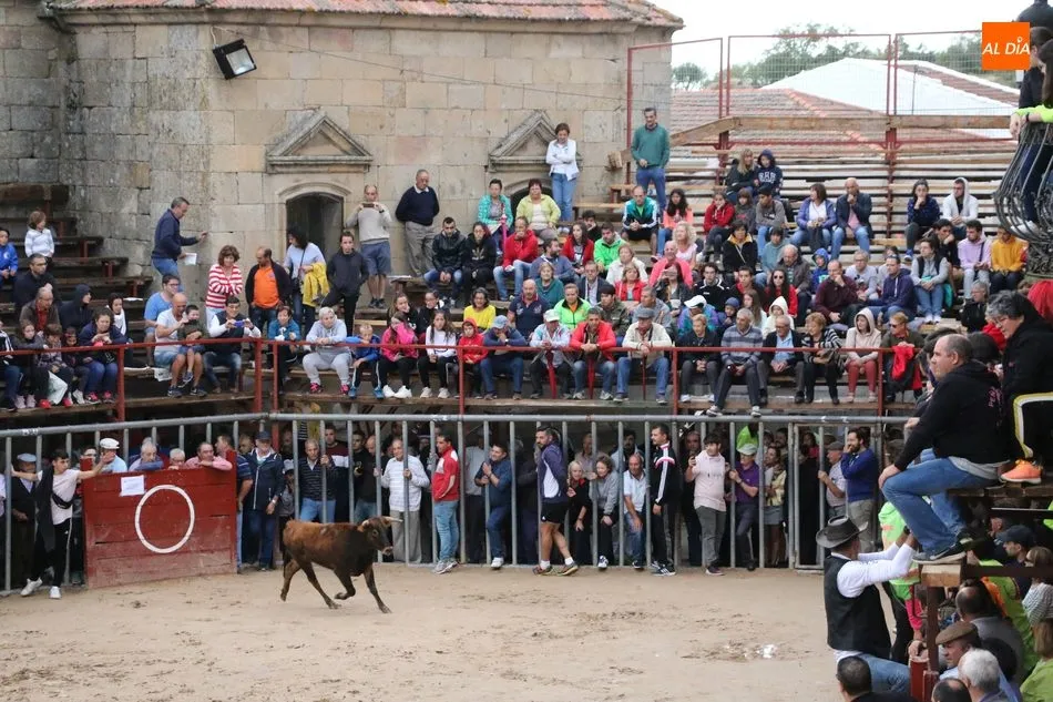Foto 6 - Encierro r&aacute;pido y &lsquo;chorreado&rsquo; de Ignacio L&oacute;pez Chaves en Aldead&aacute;vila  
