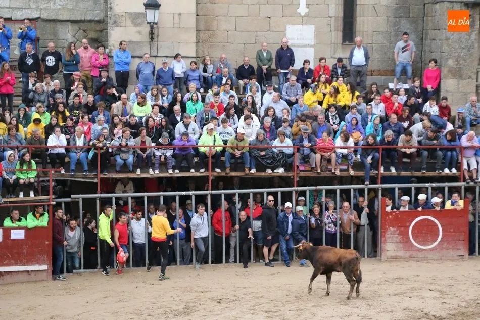 Foto 4 - Encierro r&aacute;pido y &lsquo;chorreado&rsquo; de Ignacio L&oacute;pez Chaves en Aldead&aacute;vila  
