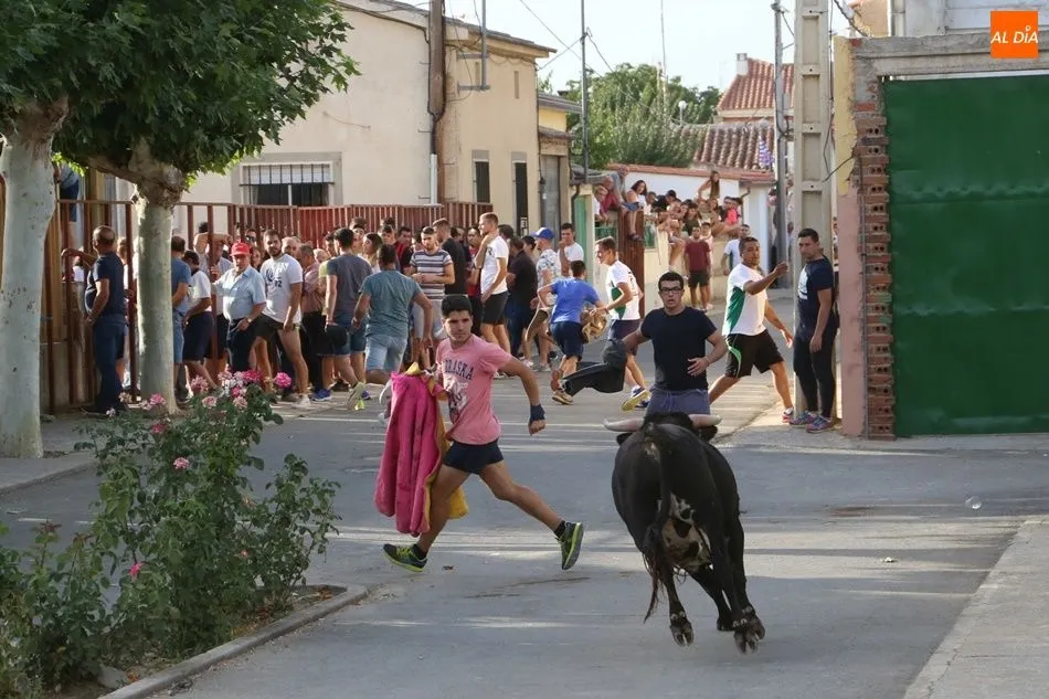 Foto 2 - Bailes, encierros y mucho ambiente festivo para honrar a San Agust&iacute;n en Villaflores