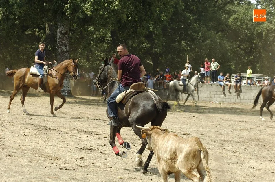 Foto 5 - R&aacute;pido y limpio segundo encierro en Villasrubias, salvo por un problema al entrar en chiqueros  
