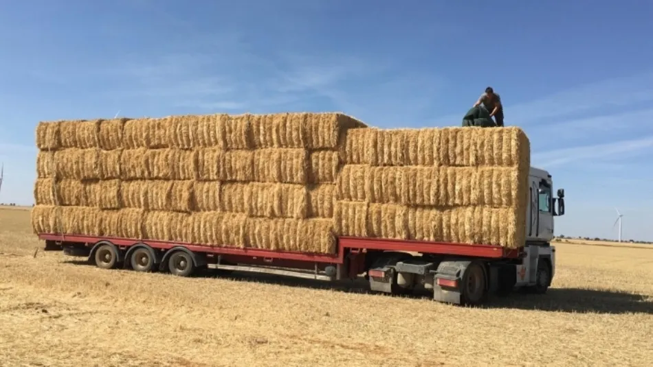 La cosecha de este año en la comunidad supera las expectativas de los agricultores tras la sequía pero es menor que una cosecha media