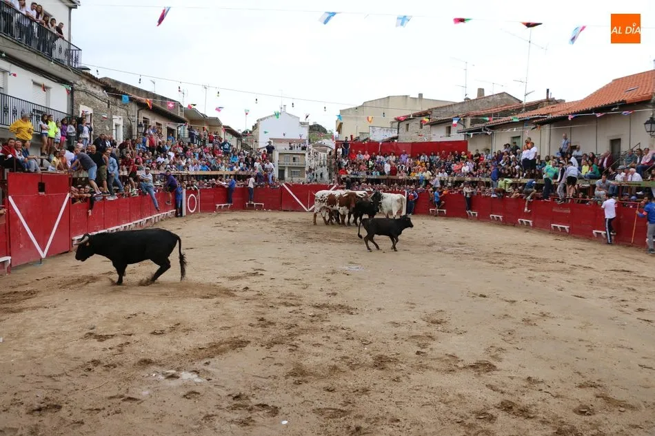Foto 11 - El encierro de los Hermanos Ca&ntilde;ero se alarga en Vilvestre  