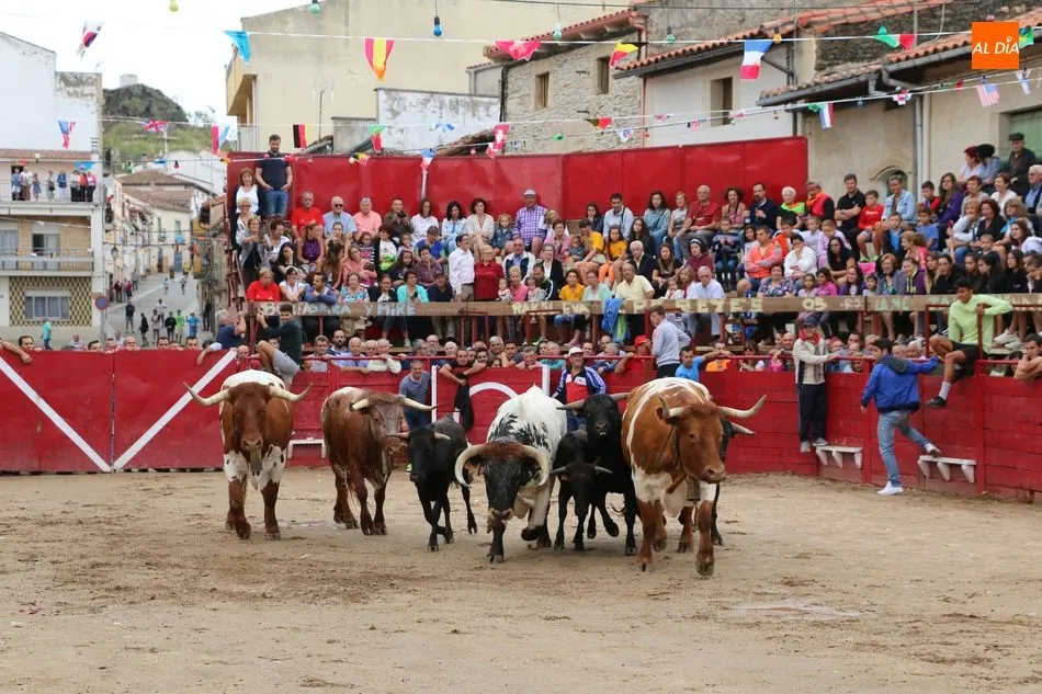 Foto 9 - El encierro de los Hermanos Ca&ntilde;ero se alarga en Vilvestre  