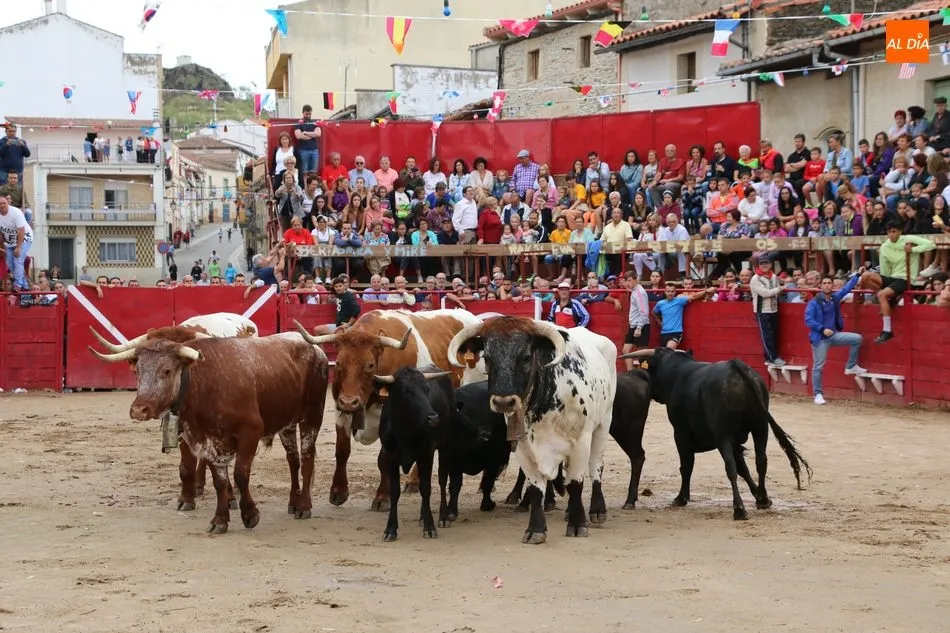 Foto 8 - El encierro de los Hermanos Ca&ntilde;ero se alarga en Vilvestre  