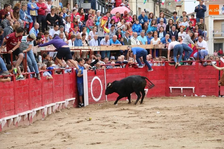 Foto 5 - El encierro de los Hermanos Ca&ntilde;ero se alarga en Vilvestre  