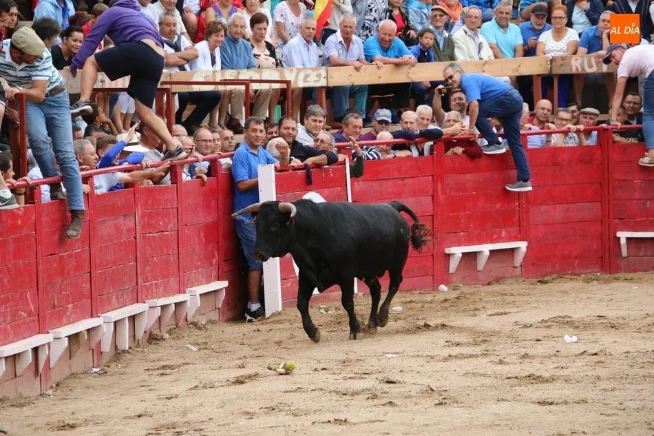 Foto 4 - El encierro de los Hermanos Ca&ntilde;ero se alarga en Vilvestre  