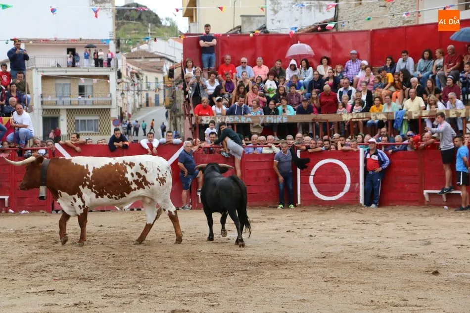 Foto 3 - El encierro de los Hermanos Ca&ntilde;ero se alarga en Vilvestre  