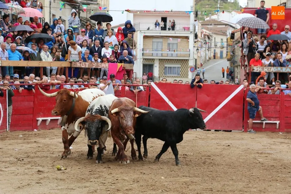 El encierro de los Hermanos Cañero se alarga en Vilvestre  