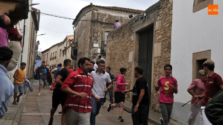 Foto 7 - Accidentado encierro con un joven herido y un novillo suelto en Lumbrales