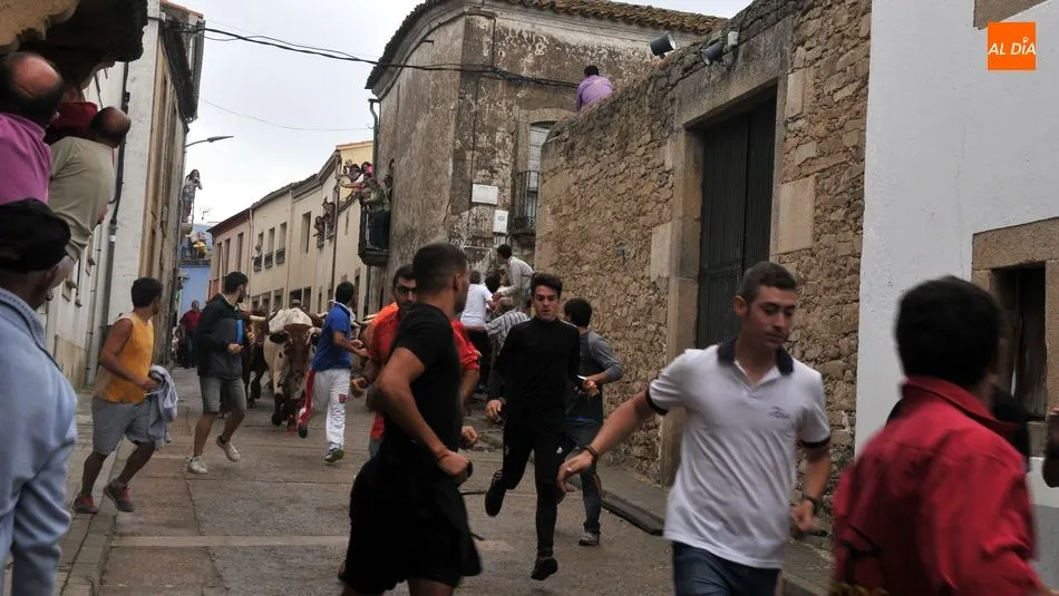 Foto 5 - Accidentado encierro con un joven herido y un novillo suelto en Lumbrales