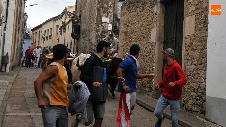 Foto 3 - Accidentado encierro con un joven herido y un novillo suelto en Lumbrales
