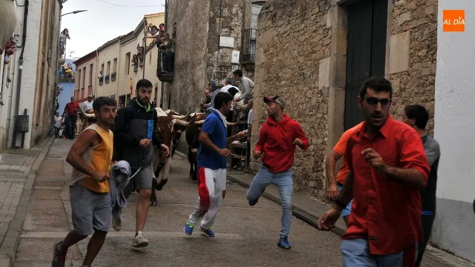 Foto 6 - Accidentado encierro con un joven herido y un novillo suelto en Lumbrales