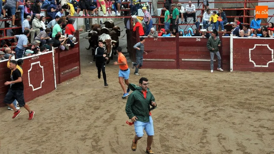 Foto 9 - Accidentado encierro con un joven herido y un novillo suelto en Lumbrales