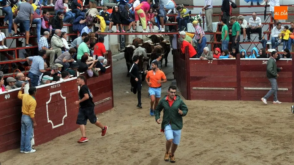 Foto 10 - Accidentado encierro con un joven herido y un novillo suelto en Lumbrales