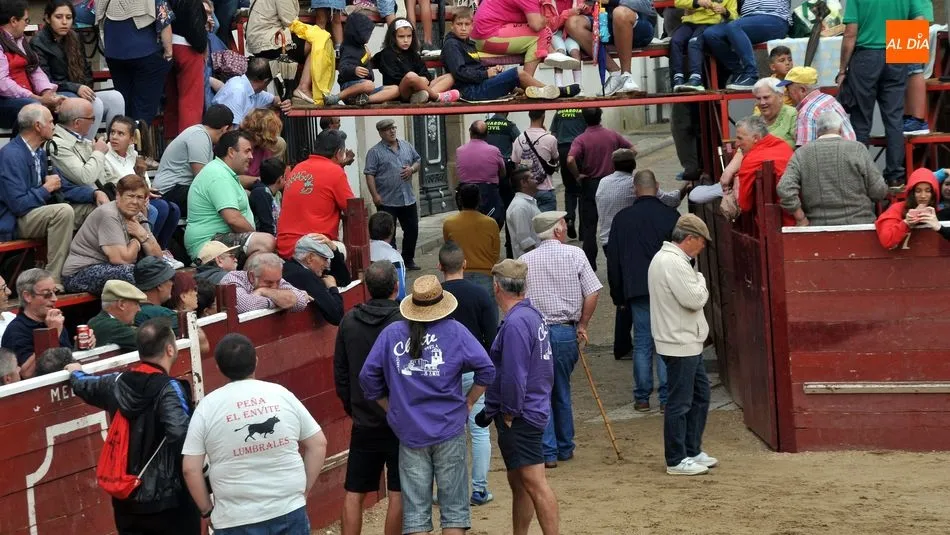 Foto 8 - Accidentado encierro con un joven herido y un novillo suelto en Lumbrales
