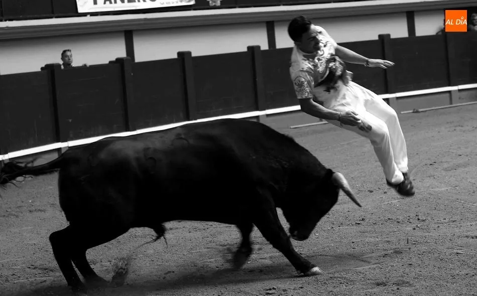 Foto 9 - Alba de Tormes disfruta de una vibrante exhibici&oacute;n de recortes