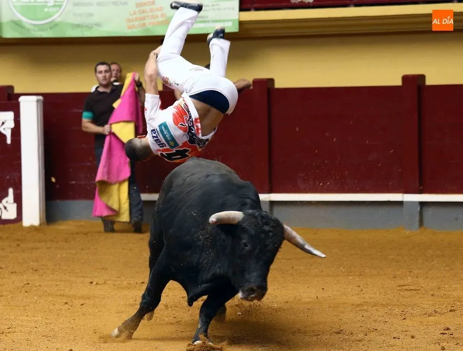 Foto 8 - Alba de Tormes disfruta de una vibrante exhibici&oacute;n de recortes