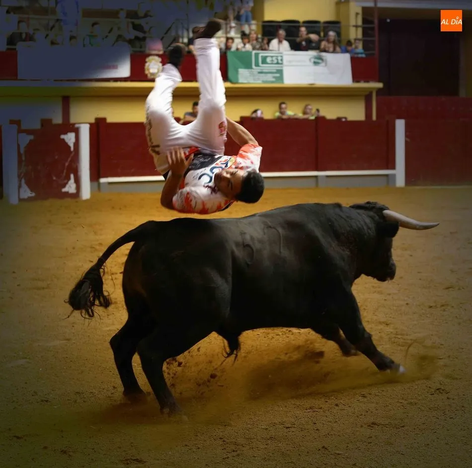 Foto 6 - Alba de Tormes disfruta de una vibrante exhibici&oacute;n de recortes