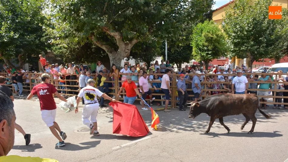 Foto 11 - Peligroso encierro de Miranda de Pericalvo en Lumbrales para despedir las fiestas