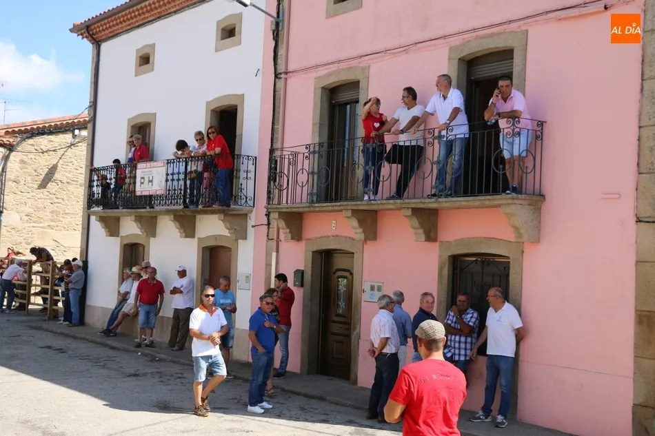 Foto 2 - Peligroso encierro de Miranda de Pericalvo en Lumbrales para despedir las fiestas