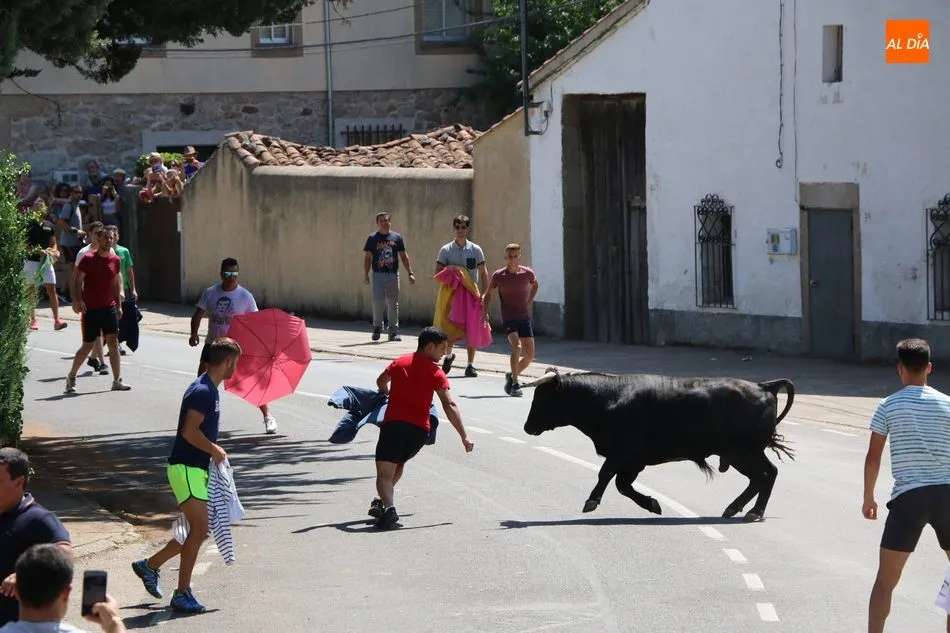 Buen juego el de los novillos de Hros. de Galache Cobaleda / REP. GRÁFICO: CORRAL