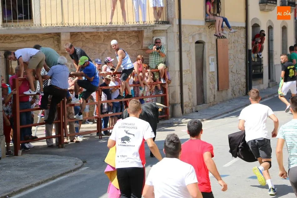 Foto 11 - La Virgen de Caballeros extiende su manto en Villavieja durante el encierro de Galache Cobaleda  