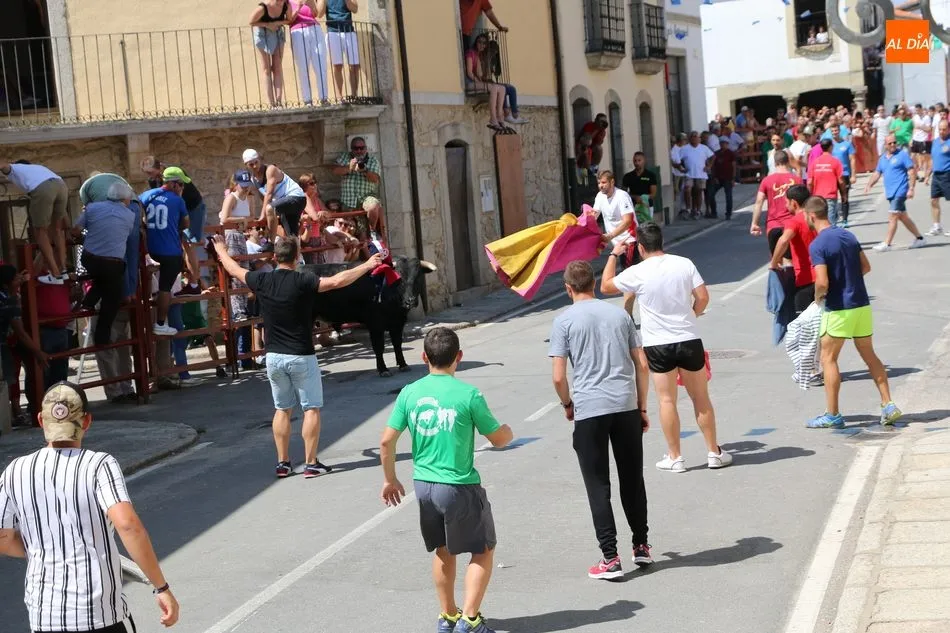 Foto 10 - La Virgen de Caballeros extiende su manto en Villavieja durante el encierro de Galache Cobaleda  