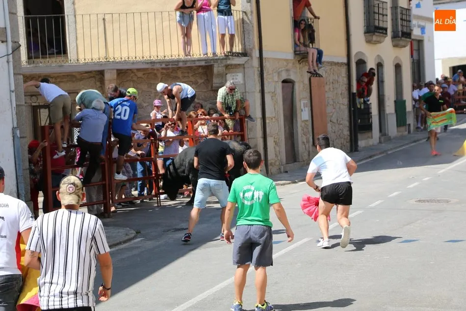 Foto 9 - La Virgen de Caballeros extiende su manto en Villavieja durante el encierro de Galache Cobaleda  