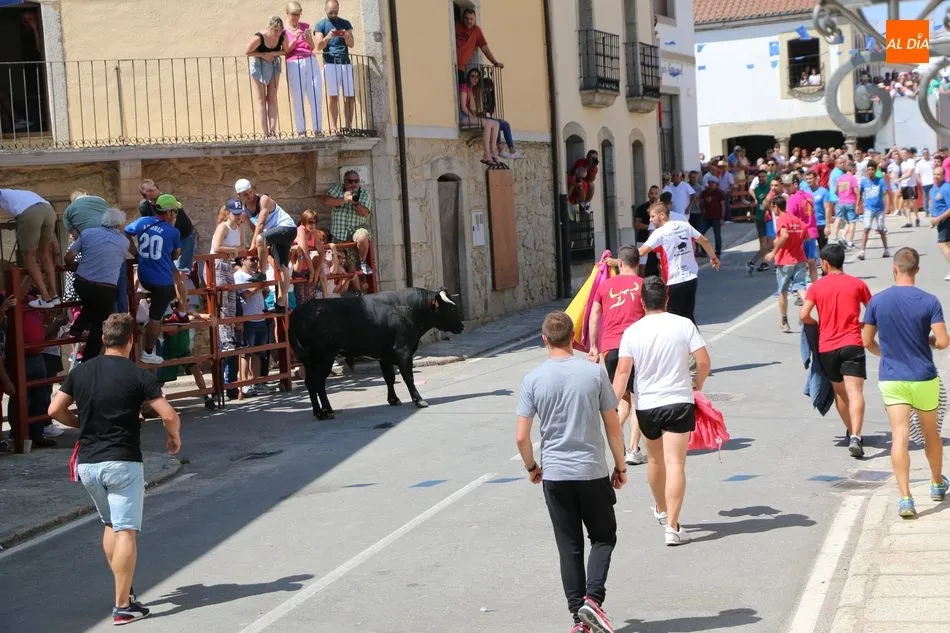 Foto 8 - La Virgen de Caballeros extiende su manto en Villavieja durante el encierro de Galache Cobaleda  