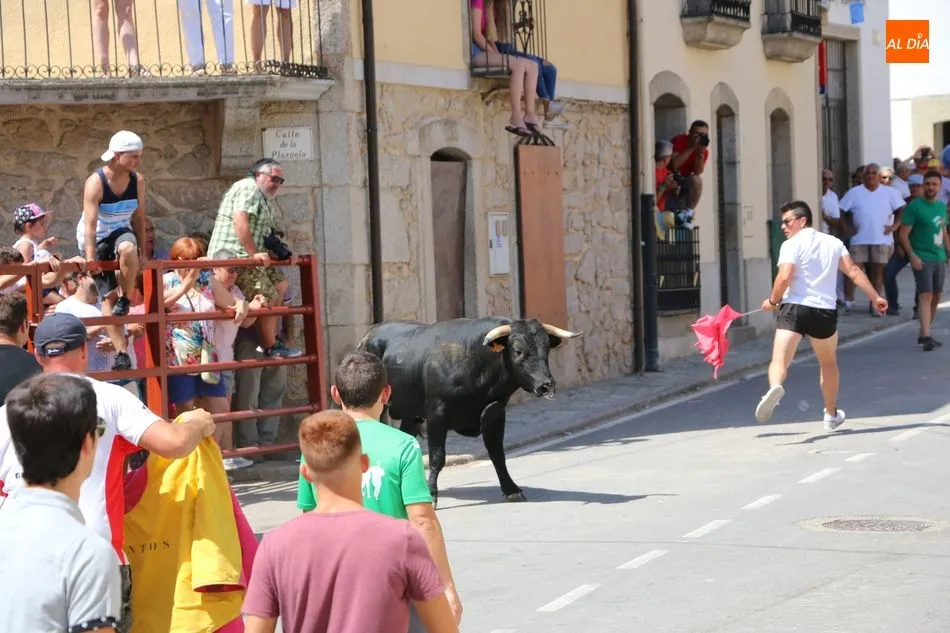 Foto 7 - La Virgen de Caballeros extiende su manto en Villavieja durante el encierro de Galache Cobaleda  