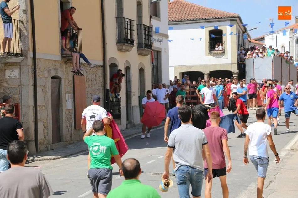 Foto 5 - La Virgen de Caballeros extiende su manto en Villavieja durante el encierro de Galache Cobaleda  