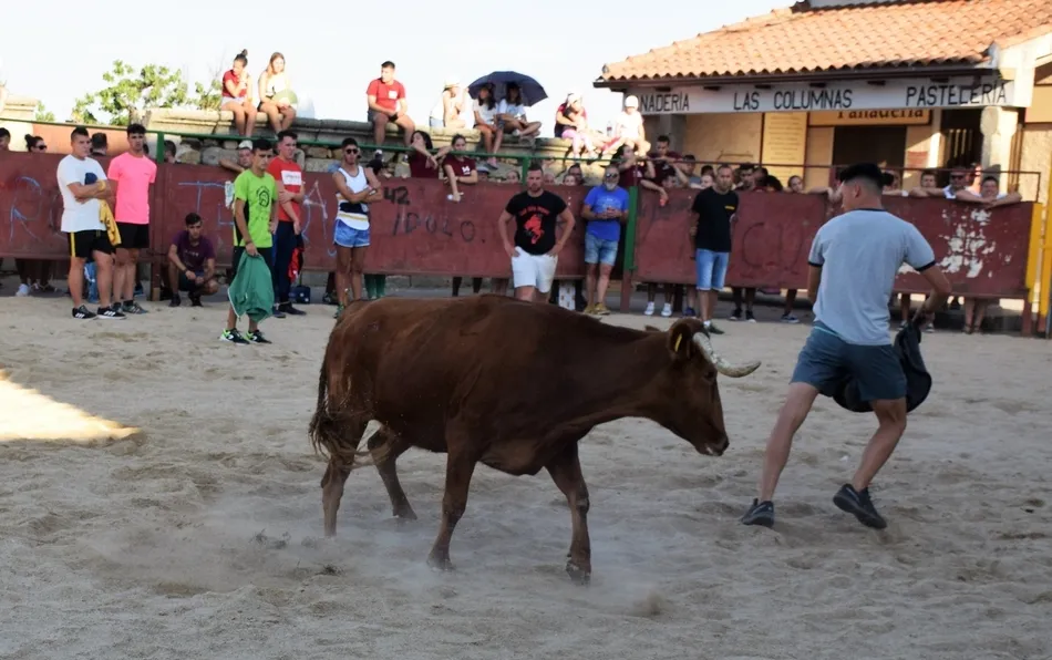 Foto 10 - Los j&oacute;venes se lo pasan en grande en la animada tarde taurina de Villar de Ciervo  