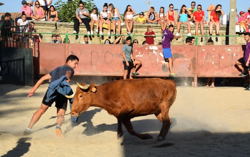 Foto 8 - Los j&oacute;venes se lo pasan en grande en la animada tarde taurina de Villar de Ciervo  