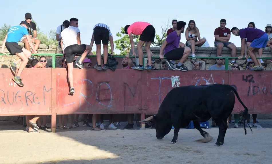 Foto 6 - Los j&oacute;venes se lo pasan en grande en la animada tarde taurina de Villar de Ciervo  