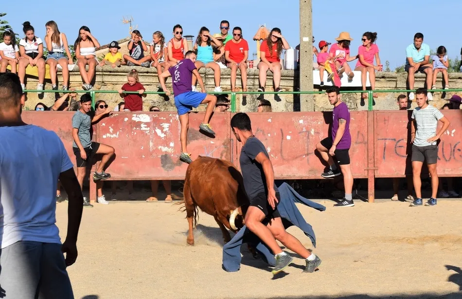 Foto 9 - Los j&oacute;venes se lo pasan en grande en la animada tarde taurina de Villar de Ciervo  